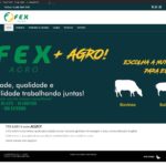Criação de site da FEXAGRO