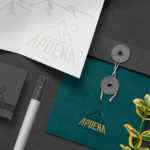 Criar Logo e Identidade Visual