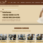 Criação de Site Petsitter