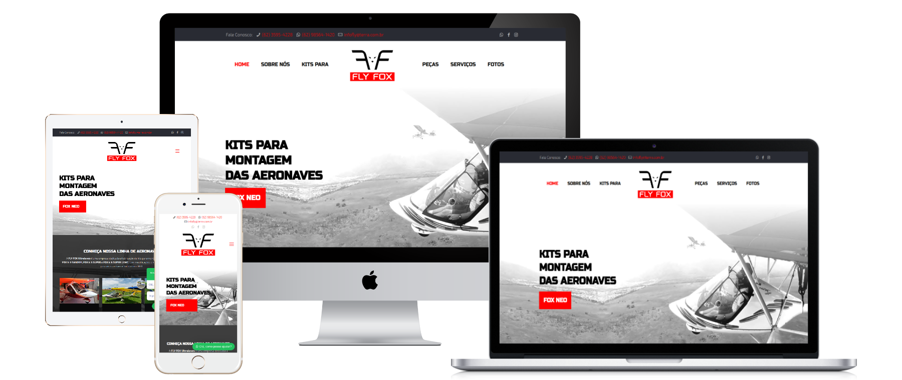 Site da Fly Fox Ultraleves criado pela Lemon Pepper Design — imagem 1