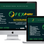 Redesign do site institucional da FEXAGRO pela Lemon Pepper Design — imagem 1