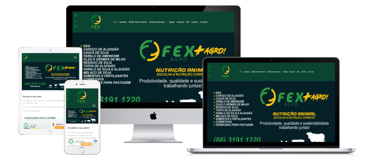 Redesign do site institucional da FEXAGRO pela Lemon Pepper Design — imagem 1