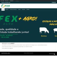 Criação de site da FEXAGRO