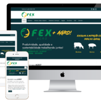 Criação de site da FEXAGRO