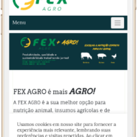 Criação de site da FEXAGRO