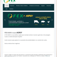 Criação de site da FEXAGRO