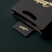Identidade visual da Avolare Aeronaves criada pela Lemon Pepper Design — imagem 4