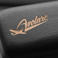 Identidade visual da Avolare Aeronaves criada pela Lemon Pepper Design — imagem 9