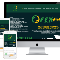 Redesign do site institucional da FEXAGRO pela Lemon Pepper Design — imagem 2