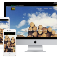Site da Rota Representações criado pela Lemon Pepper Design — imagem 2