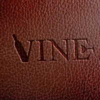 Identidade visual da Vine Adega criada pela Lemon Pepper Design — imagem 7