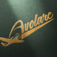 Identidade visual da Avolare Aeronaves criada pela Lemon Pepper Design — imagem 5