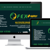 Redesign do site institucional da FEXAGRO pela Lemon Pepper Design — imagem 1