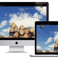 Site da Rota Representações criado pela Lemon Pepper Design — imagem 1