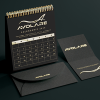 Identidade visual da Avolare Aeronaves criada pela Lemon Pepper Design — imagem 3