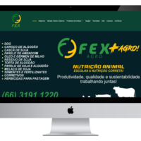 Redesign do site institucional da FEXAGRO pela Lemon Pepper Design — imagem 3