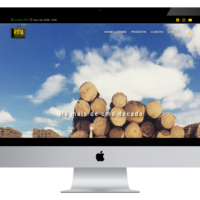 Site da Rota Representações criado pela Lemon Pepper Design — imagem 3