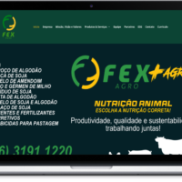 Redesign do site institucional da FEXAGRO pela Lemon Pepper Design — imagem 4