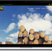 Site da Rota Representações criado pela Lemon Pepper Design — imagem 4