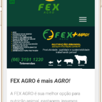 Redesign do site institucional da FEXAGRO pela Lemon Pepper Design — imagem 6