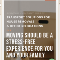 Site da Costa Removals Express criado pela Lemon Pepper Design — imagem 6