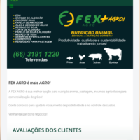 Redesign do site institucional da FEXAGRO pela Lemon Pepper Design — imagem 5