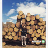 Site da Rota Representações criado pela Lemon Pepper Design — imagem 5